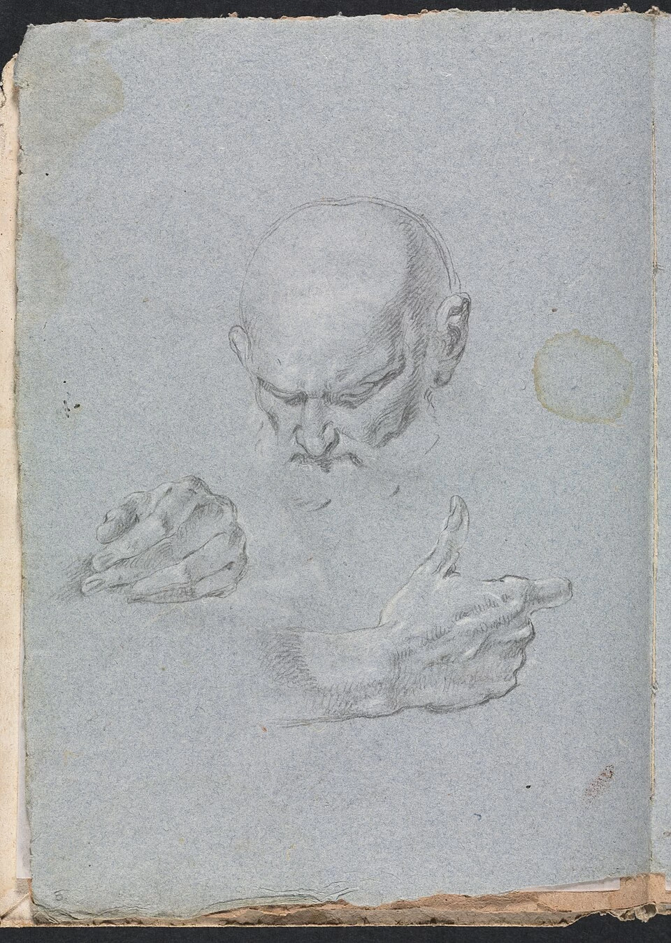 Testa di un uomo con le mani - Cleveland Museum of Art